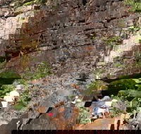 3-Day Kakadu 4WD Camping Safari from Darwin - Accommodation Bookings