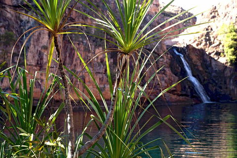 3-Day Kakadu 4WD Camping Safari From Darwin - Accommodation Bookings 2