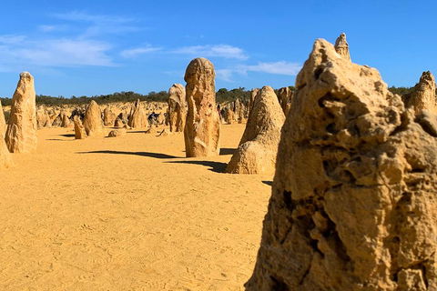 Pinnacles Desert (Private) Day Tour - Accommodation Bookings 0