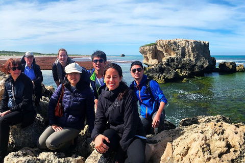 Pinnacles Desert (Private) Day Tour - Accommodation Bookings 4