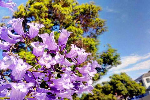 Big Perth (Private) Day Tour - Accommodation Bookings 3