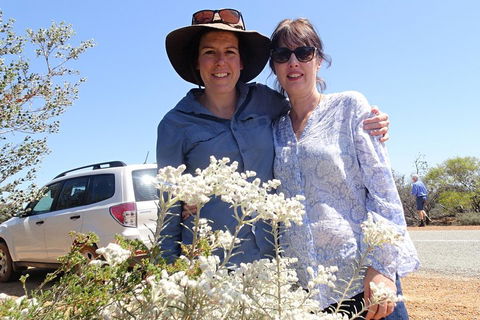 Spring Wildflower (Private) Day Tours - Accommodation Bookings 0