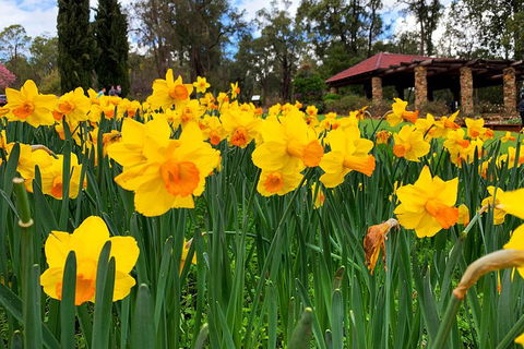 Spring Wildflower (Private) Day Tours - Accommodation Bookings 1