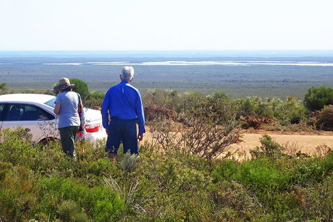 Spring Wildflower (Private) Day Tours - Accommodation Bookings 3