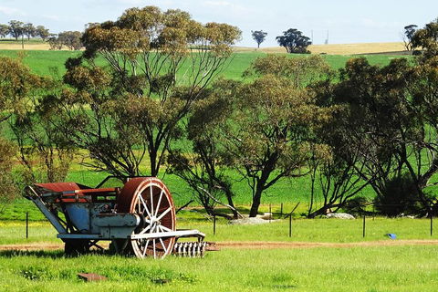 Spring Wildflower (Private) Day Tours - Accommodation Bookings 4