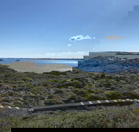 Penguin Island And Fremantle - Canoe Chocolate  Coffee - Accommodation Bookings