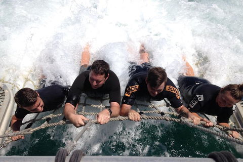 Cruise In Moreton Bay Marine Park And Moreton Island - Accommodation Bookings 0