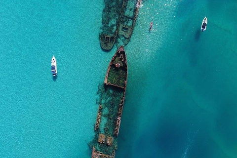 Cruise In Moreton Bay Marine Park And Moreton Island - Accommodation Bookings 1