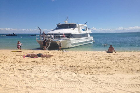 Cruise In Moreton Bay Marine Park And Moreton Island - Accommodation Bookings 4