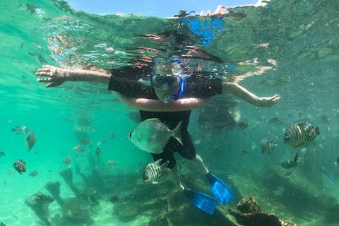 Cruise In Moreton Bay Marine Park And Moreton Island - Accommodation Bookings 5