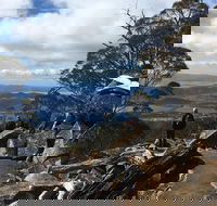 kunanyi / Mt Wellington Explorer Bus - 2 Hour Return Tour - Accommodation Bookings