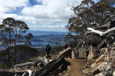 Kunanyi / Mt Wellington Explorer Bus - 2 Hour Return Tour - Accommodation Bookings 0
