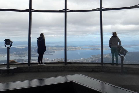 Kunanyi / Mt Wellington Explorer Bus - 2 Hour Return Tour - Accommodation Bookings 1