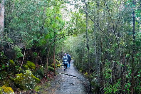 Kunanyi / Mt Wellington Explorer Bus - 2 Hour Return Tour - Accommodation Bookings 2