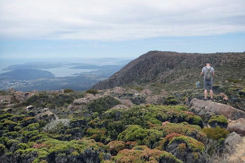 Kunanyi / Mt Wellington Explorer Bus - 2 Hour Return Tour - Accommodation Bookings 3