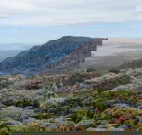 kunanyi/Mt Wellington Explorer Bus - One Way Tour - Accommodation Bookings