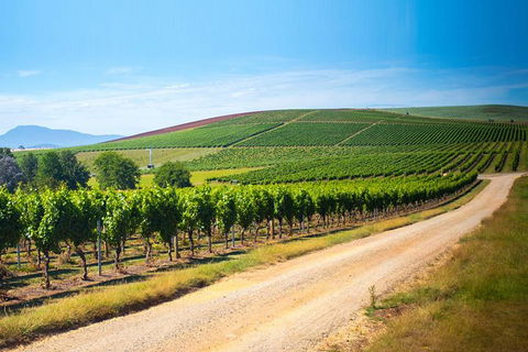 Full Day Tamar Valley Wine Tour - Accommodation Bookings 1