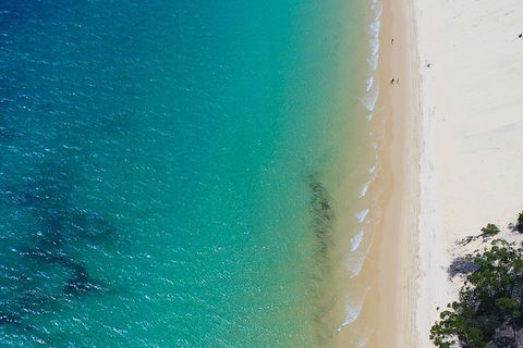 Private Tangalooma Wrecks Tour - Accommodation Bookings 1