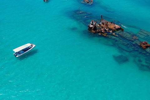 Private Tangalooma Wrecks Tour - Accommodation Bookings 4