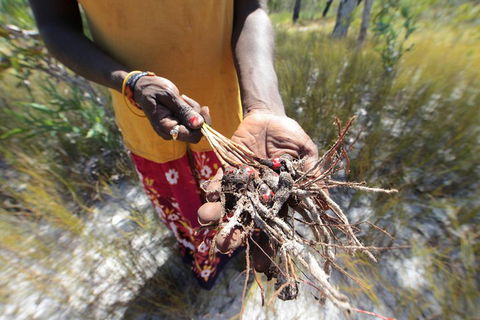 Gay-Wu Woman's 5 Day Yolngu Homeland Tour - Accommodation Bookings 0