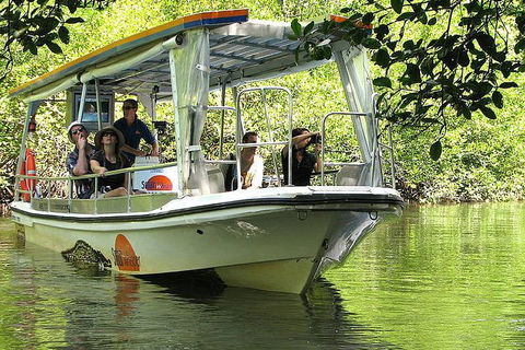 5-Day Best Of Cairns With Daintree, Kuranda, And Great Barrier Reef - Accommodation Bookings 1
