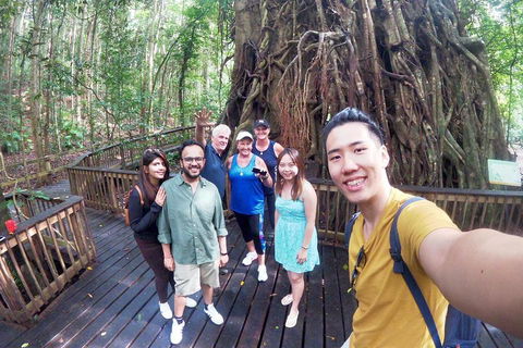 Cairns 4WD Waterfall And Rainforest Tour Including Kuranda Scenic Railway - Accommodation Bookings 0