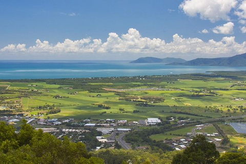3-Day Best Of Cairns Combo: The Daintree Rainforest, Great Barrier Reef, And Kuranda - Accommodation Bookings 3