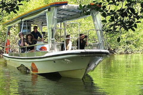 3-Day Best Of Cairns Combo: The Daintree Rainforest, Great Barrier Reef, And Kuranda - Accommodation Bookings 4