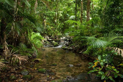 Cairns Reef And Rainforest Combo: Daintree Rainforest And The Great Barrier Reef - Accommodation Bookings 1