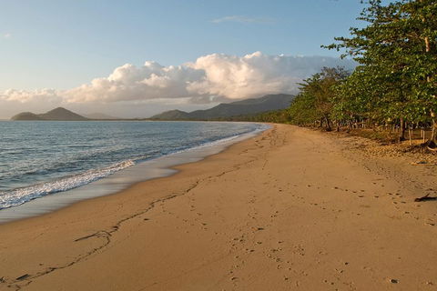 Cairns Reef And Rainforest Combo: Daintree Rainforest And The Great Barrier Reef - Accommodation Bookings 4