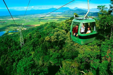 4-Day Cairns Ultimate Combo: Daintree Rainforest, Reef, Kuranda & Paronella Park - Accommodation Bookings 1