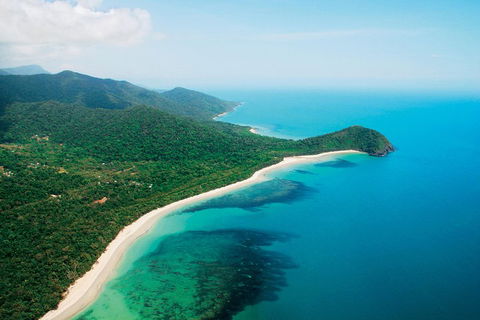 Cape Tribulation, Mossman Gorge, And Daintree Rainforest Premium Day Tour - Accommodation Bookings 2