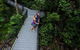Cape Tribulation, Mossman Gorge, And Daintree Rainforest Premium Day Tour - thumb 3