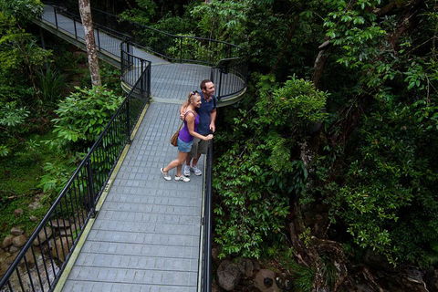 Cape Tribulation, Mossman Gorge, And Daintree Rainforest Premium Day Tour - Accommodation Bookings 3