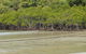 Cape Tribulation, Mossman Gorge, And Daintree Rainforest Premium Day Tour - thumb 4