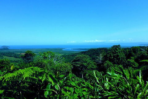 Cape Tribulation, Mossman Gorge, And Daintree Rainforest Premium Day Tour - Accommodation Bookings 5