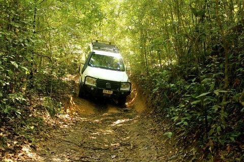 Barron Gorge And Kuranda National Park Half Day Rainforest And Waterfall 4WD Tour From Cairns - Accommodation Bookings 2