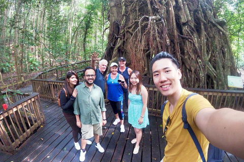 Barron Gorge And Kuranda National Park Half Day Rainforest And Waterfall 4WD Tour From Cairns - Accommodation Bookings 5