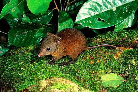 3-Day Small-Group Tour Of North Queensland With Pick Up - Accommodation Bookings 0