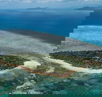 4-Day Cairns with Great Barrier Reef and Daintree Rainforest - Accommodation Bookings