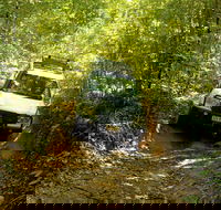 Cairns National Park Rainforest and Waterfall Small Group Tour Shore Excursion - Accommodation Bookings
