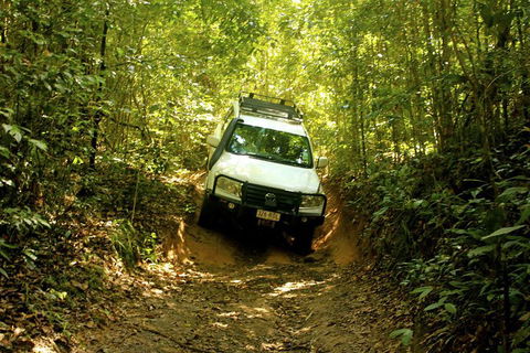 Cairns National Park Rainforest And Waterfall Small Group Tour Shore Excursion - Accommodation Bookings 0