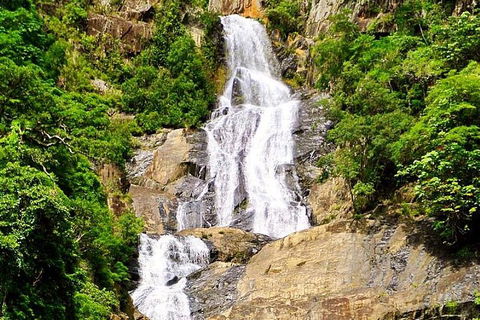 Cairns National Park Rainforest And Waterfall Small Group Tour Shore Excursion - Accommodation Bookings 4