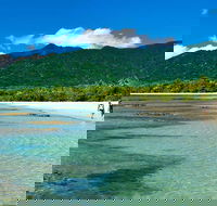 Private Daintree National Park Day Tour from Cairns Including Cape Tribulation and Mossman Gorge - Accommodation Bookings