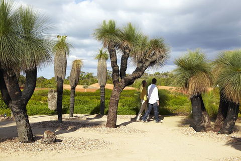 1 Day Exclusively Private Tour Of Phillip Island & The Penguin Parade - Accommodation Bookings 0
