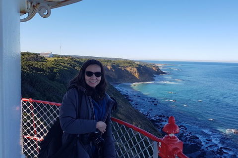 Great Ocean Road Full Day Private Experience - Accommodation Bookings 1