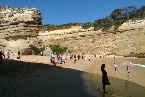 Great Ocean Road Full Day Private Experience - Accommodation Bookings 3