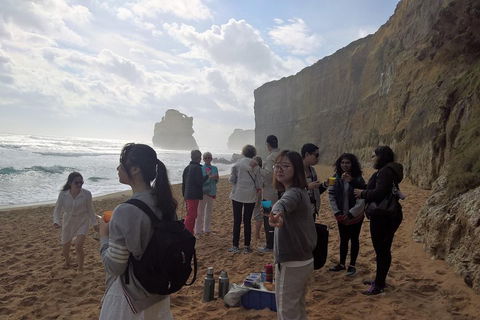 Great Ocean Road Full Day Private Experience - Accommodation Bookings 4