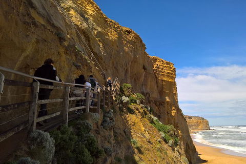Private Express Experience - 12 Apostles - Accommodation Bookings 3