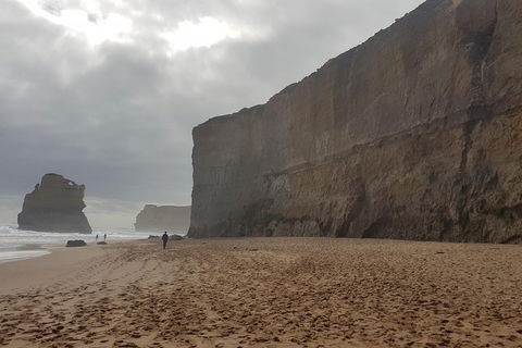 Private Express Experience - 12 Apostles - Accommodation Bookings 4